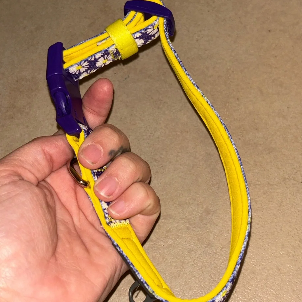 Blueberry Pet Floral Dog Collar